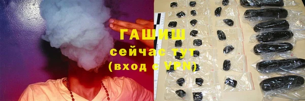 прущие грибы Гусь-Хрустальный