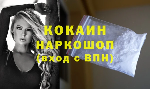 прущие грибы Гусь-Хрустальный