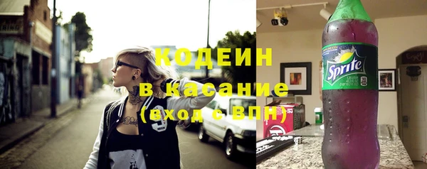 прущие грибы Гусь-Хрустальный