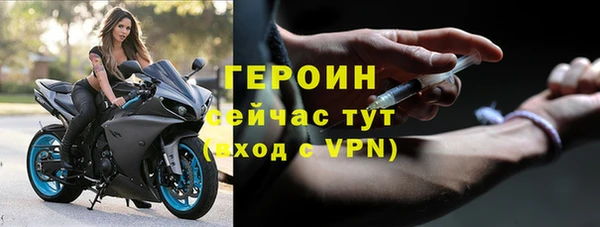 прущие грибы Няндома