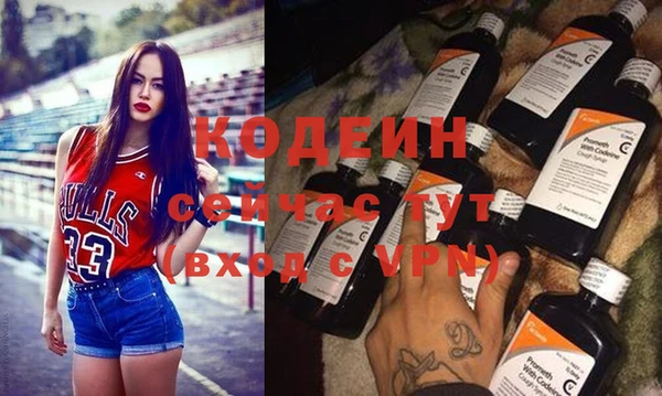 прущие грибы Гусь-Хрустальный