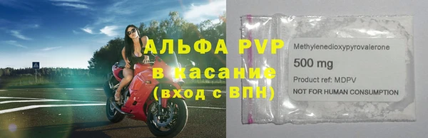 прущие грибы Гусь-Хрустальный
