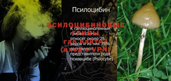 Альфа ПВП Нягань