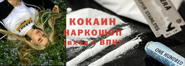 прущие грибы Гусь-Хрустальный