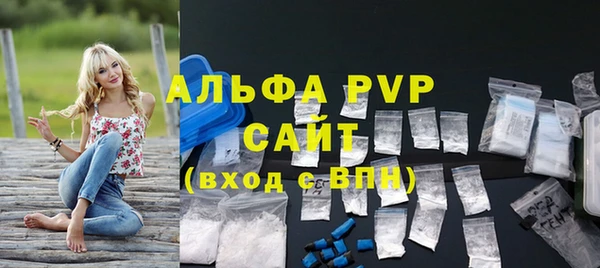 прущие грибы Гусь-Хрустальный