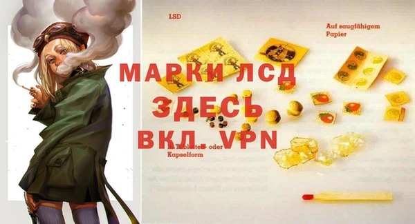 Альфа ПВП Гусев
