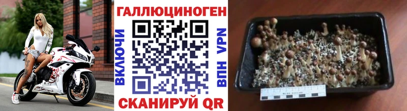 Галлюциногенные грибы прущие грибы Оха